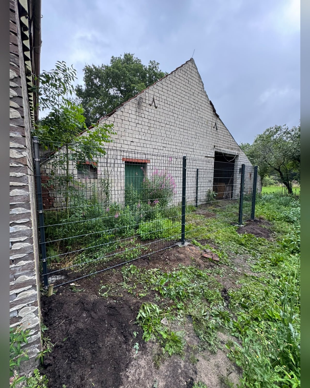 Doppelstabmattenzaun in Großefehn – Montage durch Zaunonkel