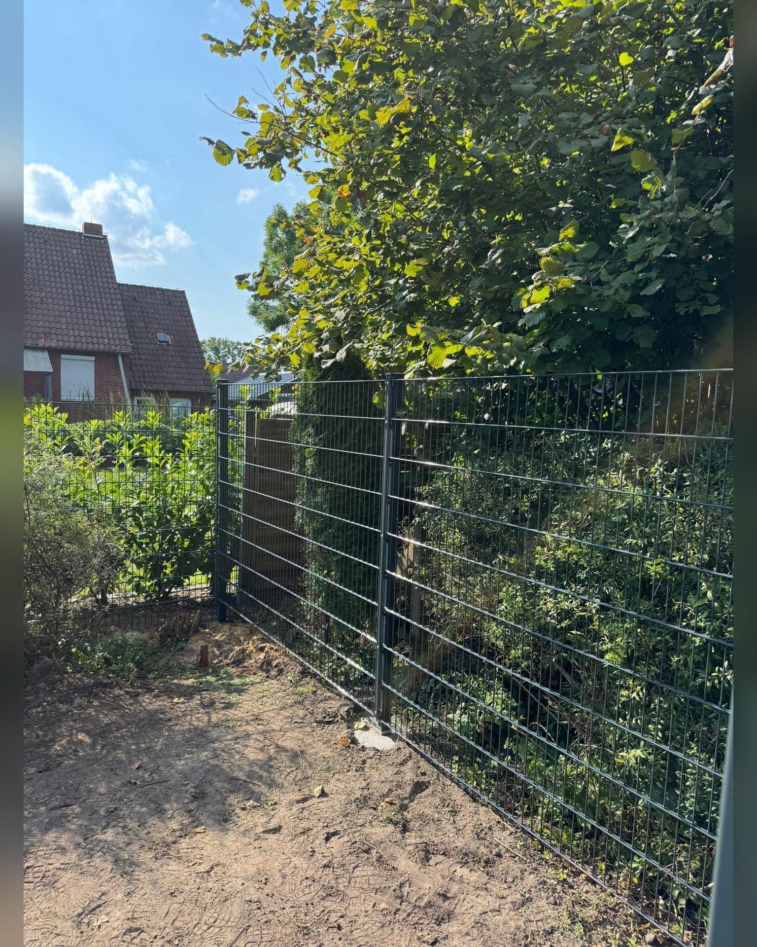 Zaun Bild 2