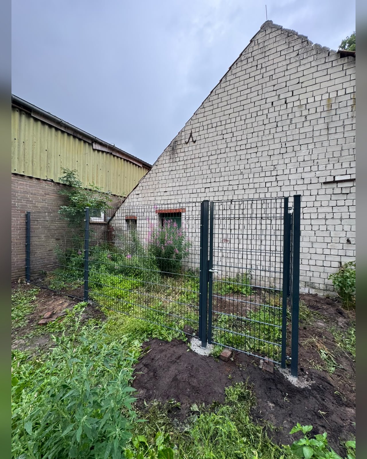 Zaun Bild 3