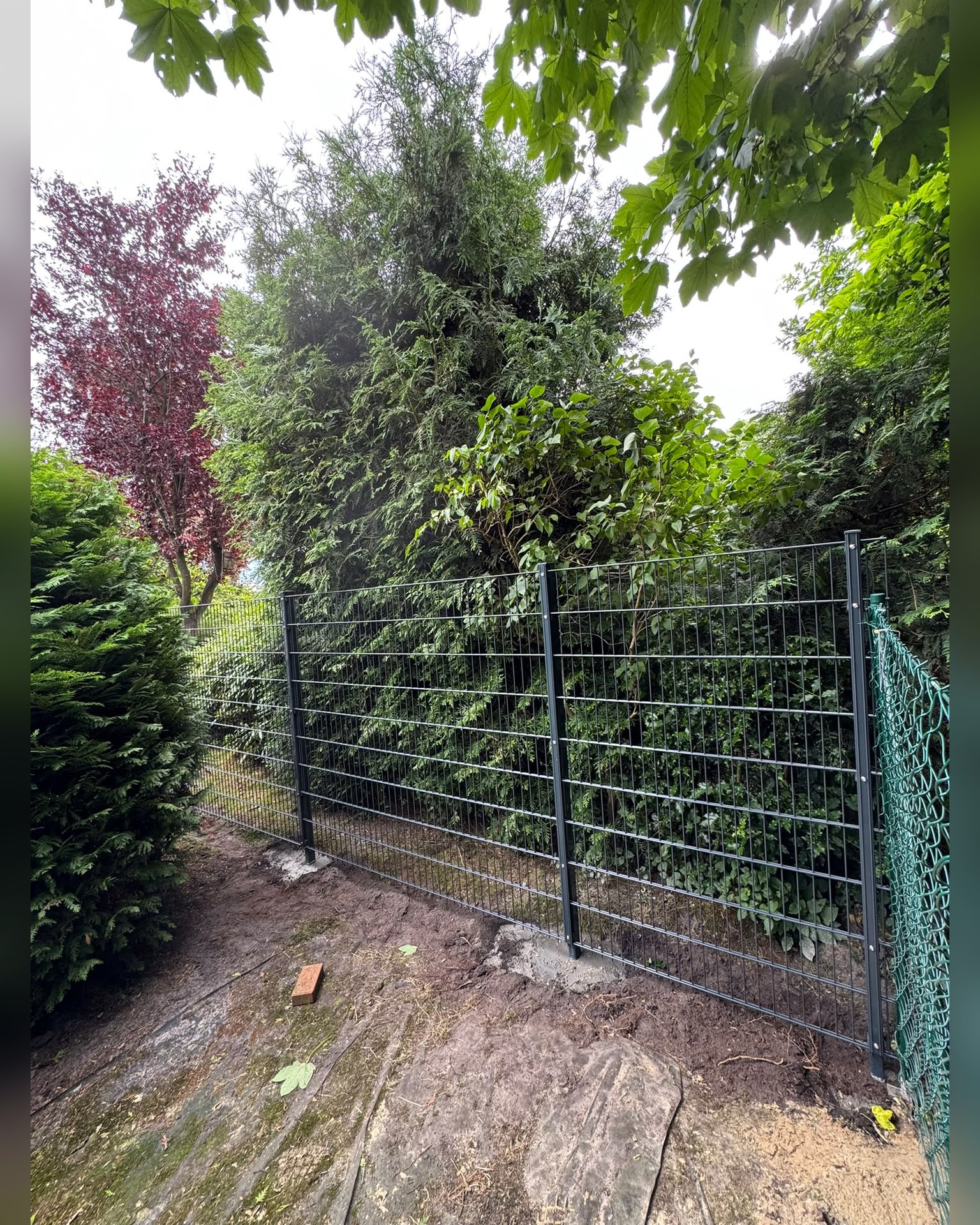 Zaun Bild 3