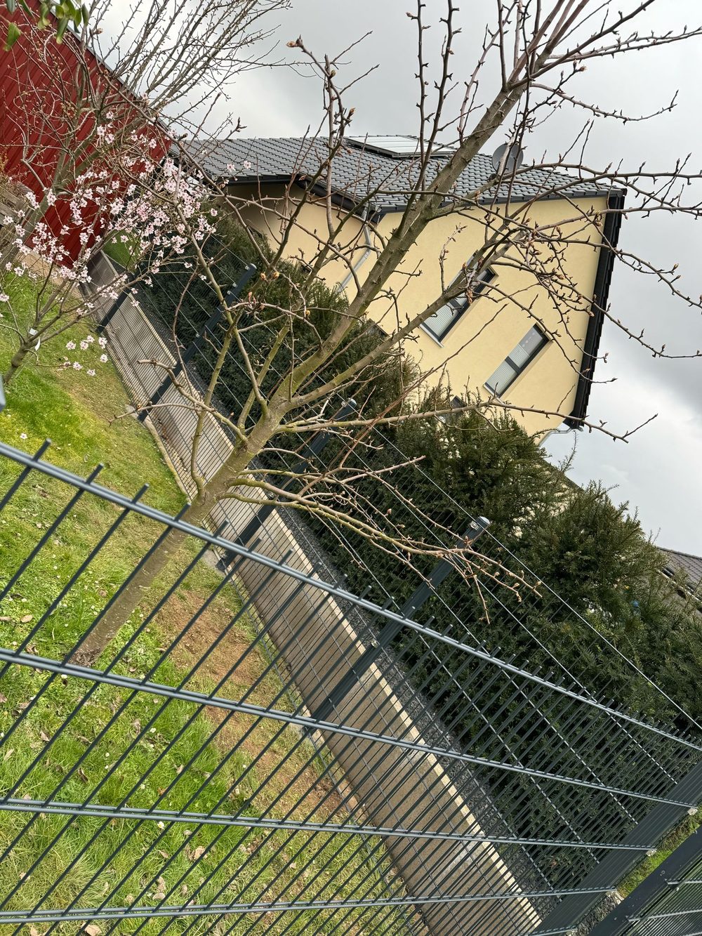 Zaun in Gronau &ndash; Zaunonkel GmbH
