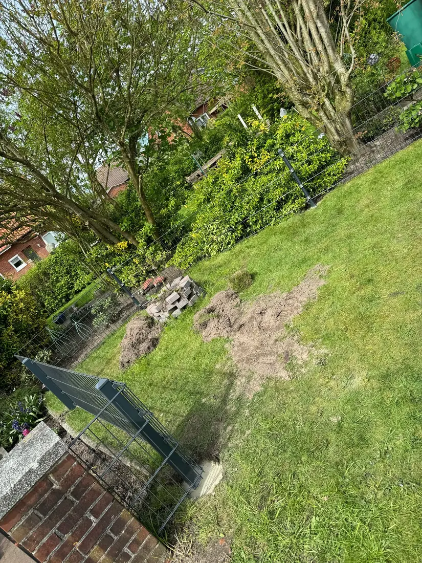 Zaun in Leer – Montage durch Zaunonkel