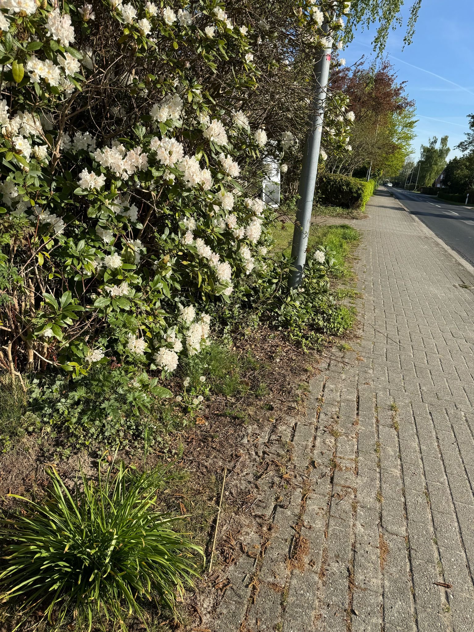 Zaun in Rhauderfehn &ndash; Zaunonkel GmbH