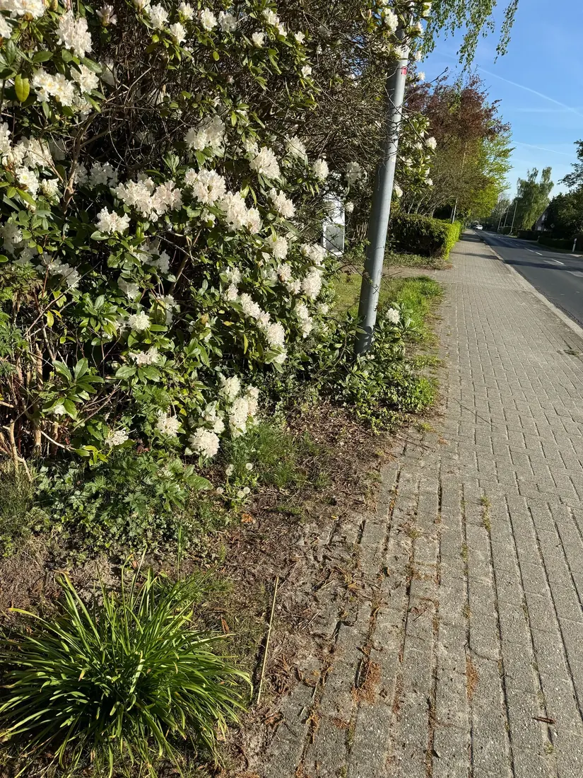 Zaun in Rhauderfehn – Montage durch Zaunonkel
